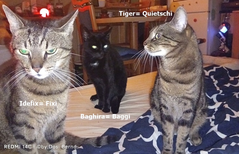 headerimage