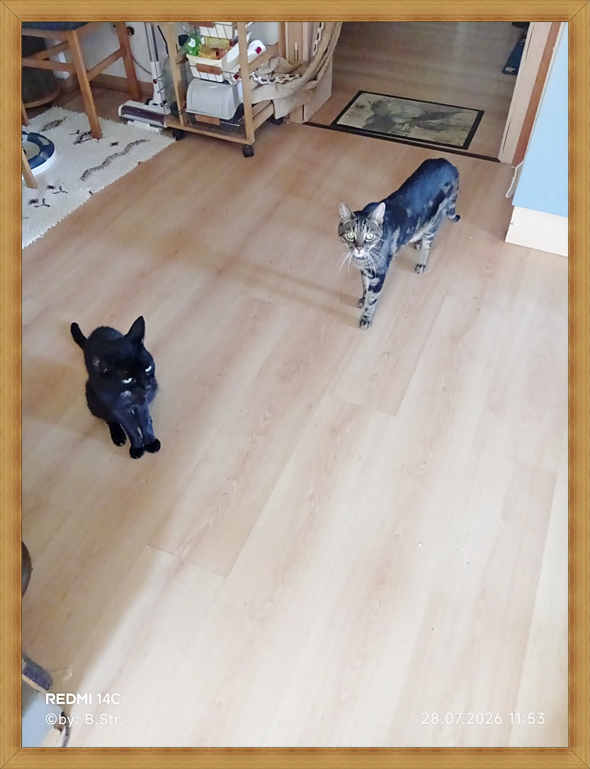 Baggi und Quietschi
