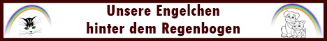 Unsere Engelchen